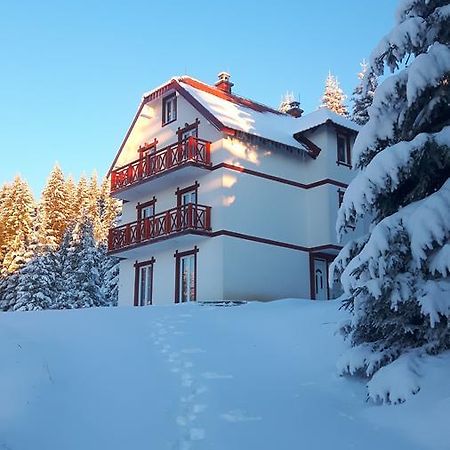 Vila Natasa Kopaonik Buitenkant foto