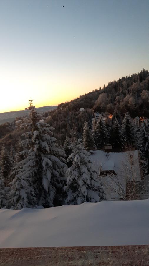 Vila Natasa Kopaonik Buitenkant foto
