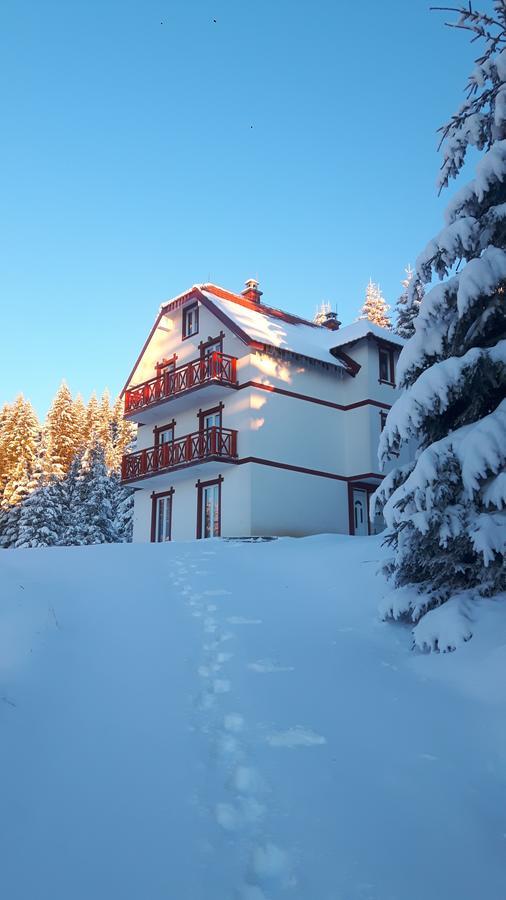 Vila Natasa Kopaonik Buitenkant foto