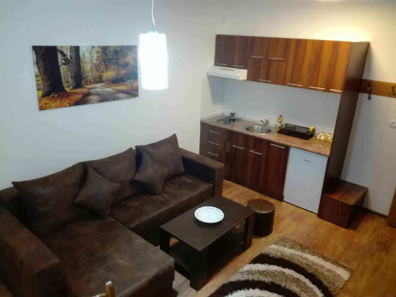 Vila Natasa Kopaonik Buitenkant foto