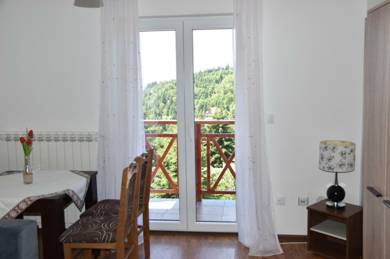 Vila Natasa Kopaonik Buitenkant foto