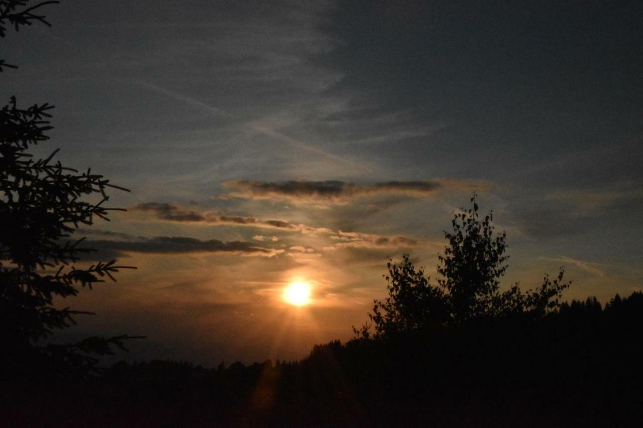 Vila Natasa Kopaonik Buitenkant foto