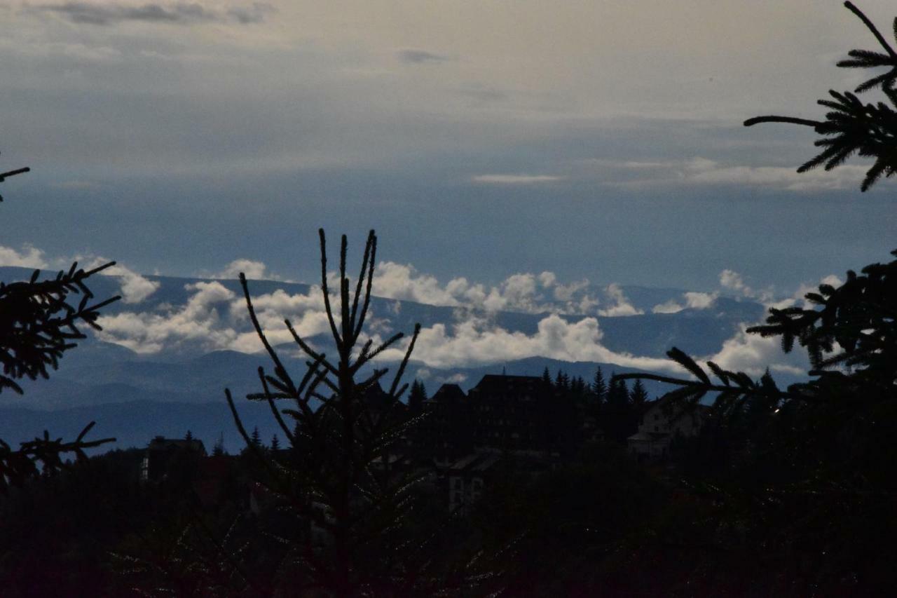 Vila Natasa Kopaonik Buitenkant foto
